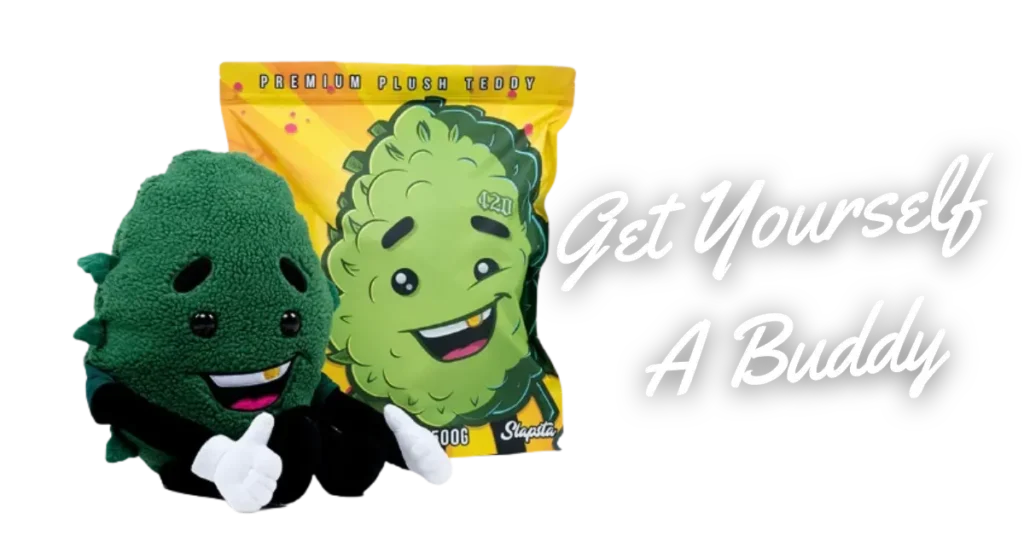 Get Yourself A Buddy 3