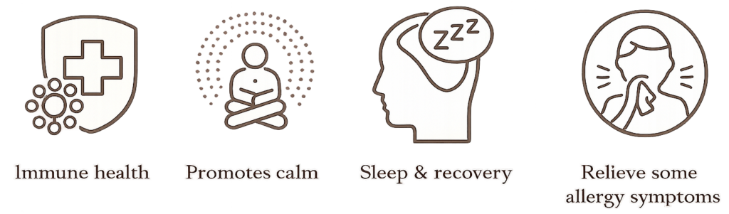 ChatGPT Image Apr 11, 2026, 05 11 07 PM